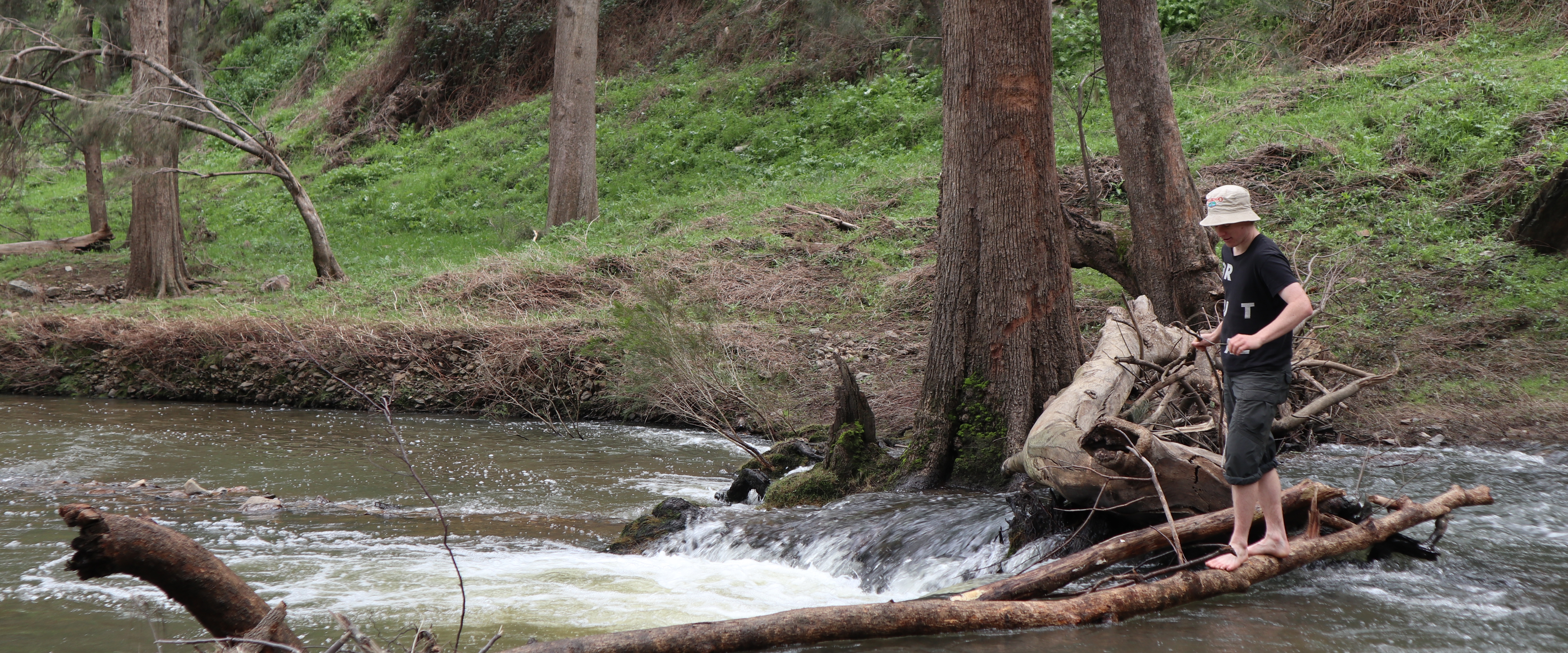 Someone crossing a stream using a log as a bridge